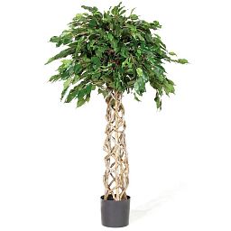 FICUS EXOTICA BALL Artificial Tree Plant