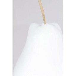 Fruits Pear