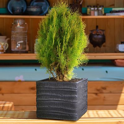 IDEALIST Lite Straw Ribbed Square Outdoor Planter