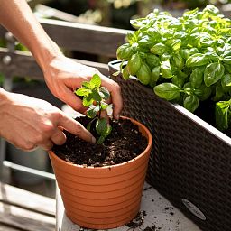 LECHUZA VEGGIEPON Organic Peat-Free Potting Compost for Vegetables Growing