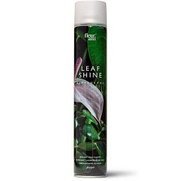 Fleur Ami Leafshine