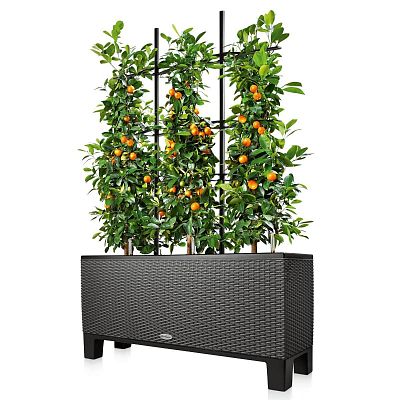 LECHUZA Trellis for TRIO