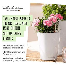 LECHUZA DELTINI|MINI-DELTINI Round Poly Resin Indoor Self-watering Planter