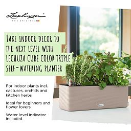 LECHUZA CUBE Color Triple Trough Poly Resin Self-watering Planter