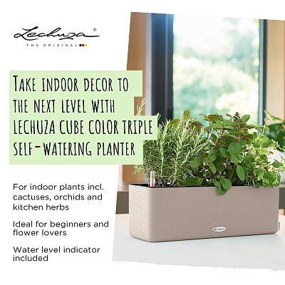 LECHUZA CUBE Color Triple Trough Poly Resin Self-watering Planter