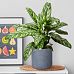 Honeycomb Style Table and Hanging Cylinder Round Plant Pot Dual Use Indoor Planter by Idealist Lite
