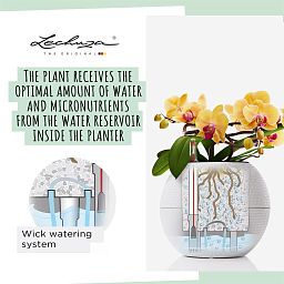 LECHUZA PURO Color Round Poly Resin Self-watering Planter
