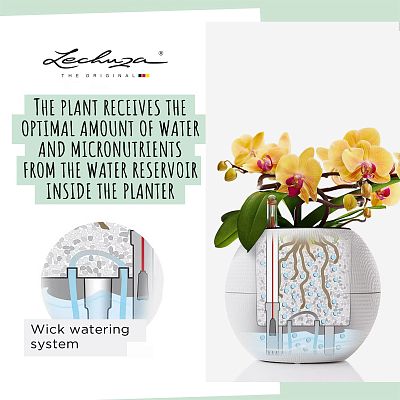 LECHUZA PURO Color Round Poly Resin Self-watering Planter