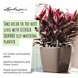 LECHUZA Quadro LS Square Poly Resin Self-watering Planter