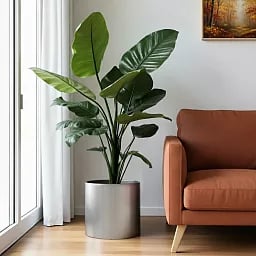 Superline Standard on Ring Round Indoor Planter