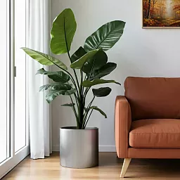 Superline Standard on Ring Round Indoor Planter