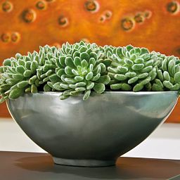 Loft Bowl Polystone Indoor Planter