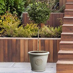 IDEALIST Lite Rustic Style Rolled Rim Wide Vase Outdoor Planter