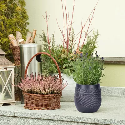 IDEALIST Lite Leaf Embossed Egg Planter