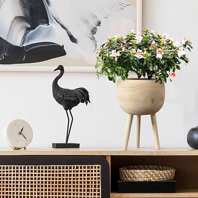 HORTICO TREND Wooden House Planter with Legs, Tall Indoor Plant Pot Stand with Waterproof Liner