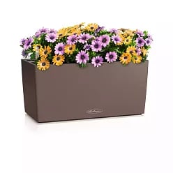 LECHUZA BALCONERA Color Trough Poly Resin Self-watering Planter