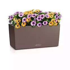 LECHUZA BALCONERA Color Trough Poly Resin Self-watering Planter LECHUZA BALCONERA Color Trough Poly Resin Self-watering Planter