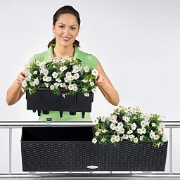 LECHUZA BALCONERA Cottage Trough Poly Resin Self-watering Planter Set