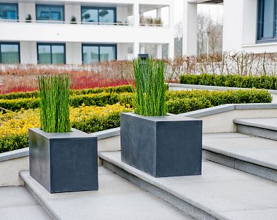 Trough Fiberstone Planter by Idealist Premium JORT