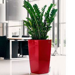 LECHUZA CUBICO Square Tall Poly Resin Self-watering Planter