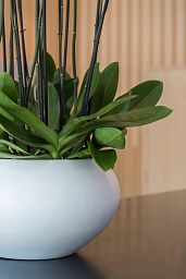 Fibrestone Cora Round Planter by Idealist Premium