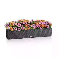LECHUZA BALCONERA Cottage Trough Poly Resin Self-watering Planter