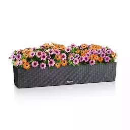 LECHUZA BALCONERA Cottage Trough Poly Resin Self-watering Planter