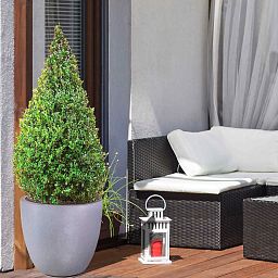 IDEALIST Lite Contemporary Light Concrete Egg Planter