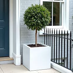 IDEALIST Lite Square Box Contemporary Light Concrete Planter