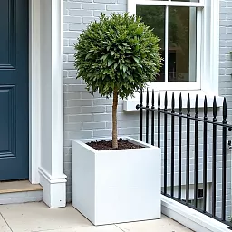 IDEALIST Lite Square Box Contemporary Light Concrete Planter