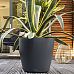 LECHUZA CLASSICO Color Round Poly Resin Self-watering Planter