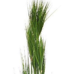 ONION GRASS Artificial Grass Plant