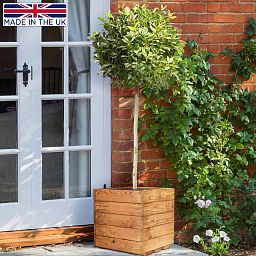 Rustic Scandinavian Redwood Square Outdoor Open Planter Made in UK by HORTICO