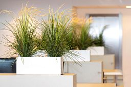 WINDOW BOX Fiberstone Low Planter by Idealist Premium Balcony Glossy