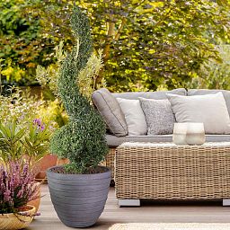 IDEALIST Lite Row Light Concrete Egg Planter