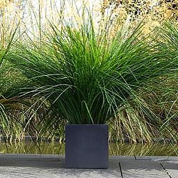 IDEALIST Lite Square Box Contemporary Light Concrete Planter