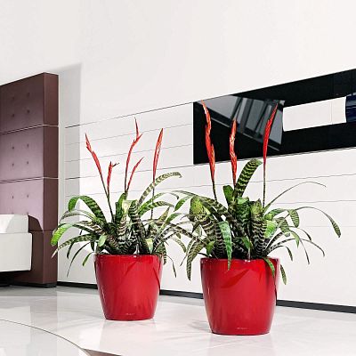 LECHUZA CLASSICO LS Round Poly Resin Self-watering Planter