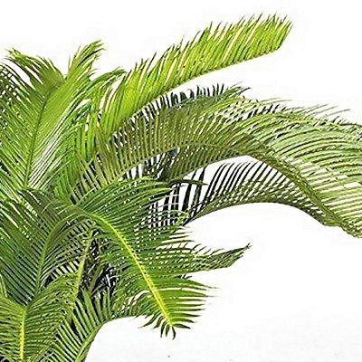 CYCASPALME DELUXE Artificial Tree Plant