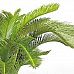 CYCASPALME DELUXE Artificial Tree Plant