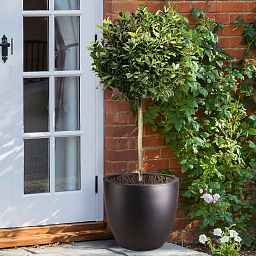 IDEALIST Lite Contemporary Light Concrete Egg Planter