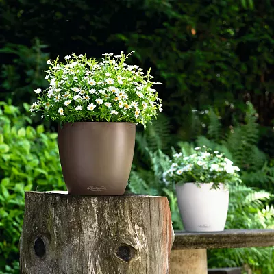 LECHUZA CLASSICO Color Round Poly Resin Self-watering Planter