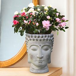 IDEALIST Lite Buddha Face Plant Pot Indoor