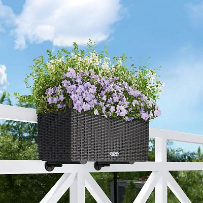 LECHUZA BALCONERA Cottage Trough Poly Resin Self-watering Planter Set