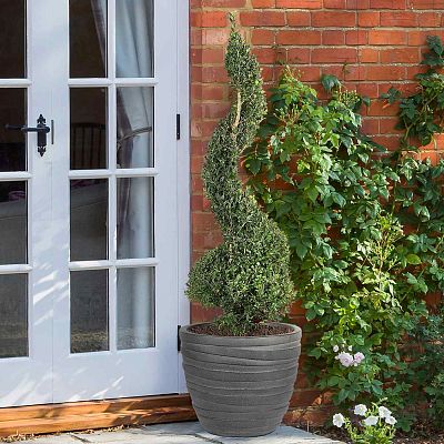 IDEALIST Lite Row Light Concrete Egg Planter