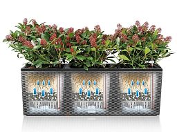 LECHUZA TRIO Cottage Trough Poly Resin Self-watering Planter