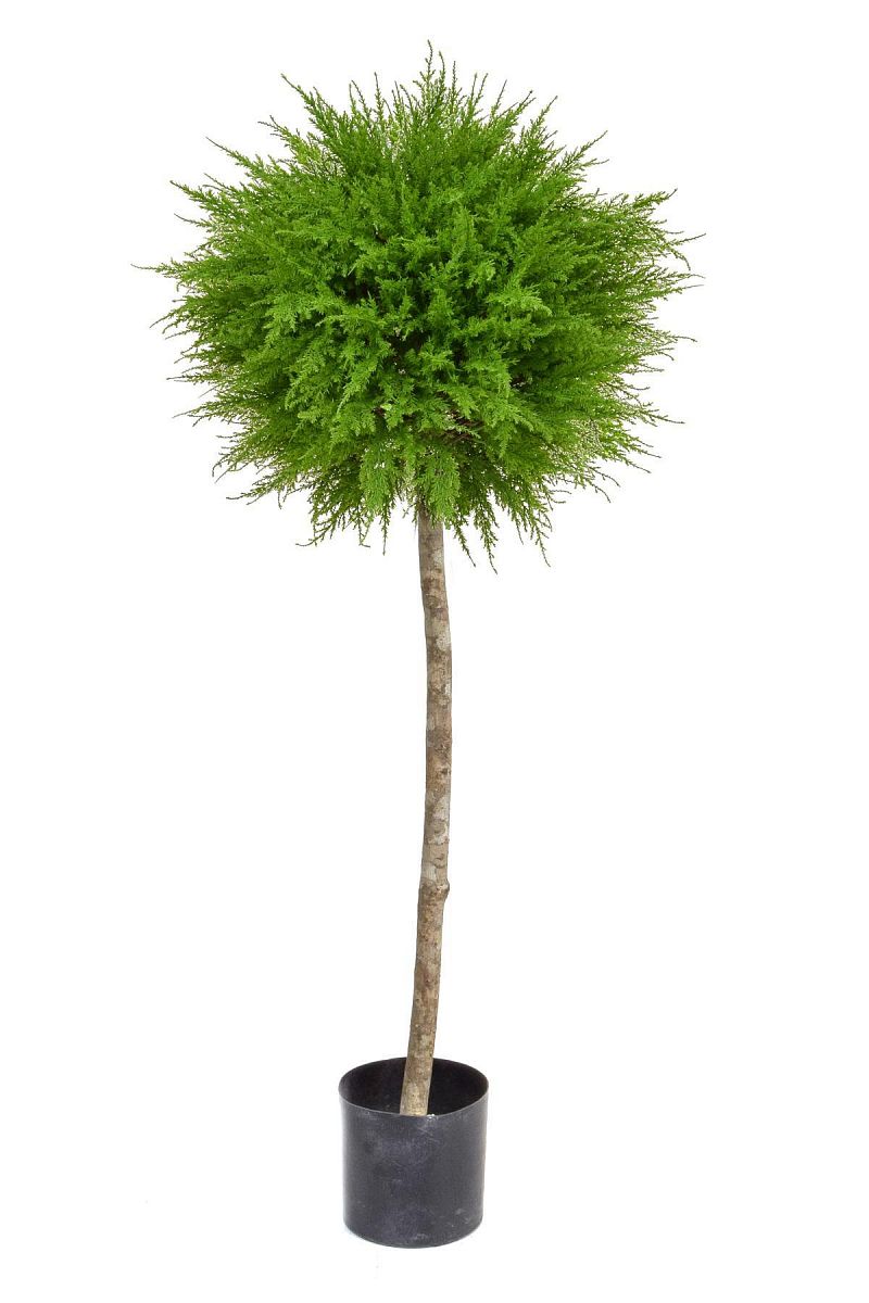 Topiary Cedar Ball Single Artificial Tree Plant