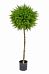 Topiary Cedar Ball Single Artificial Tree Plant