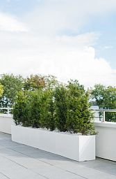 WINDOW BOX Fiberstone Planter by Idealist Premium Balcony Glossy