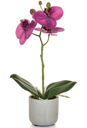 AN-Phalaenopsis Real Touch in Pot Artificial Flower Plant