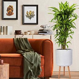 IDEALIST Lite Plaited Style Cylinder Planter on Legs, Round Pot Plant Stand Indoor
